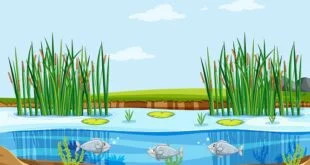 एक्वाकल्चर | Aquaculture