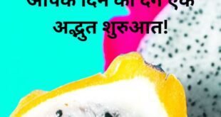 ड्रैगन फ्रूट्स