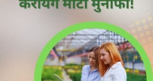 कृषि बिजनेस