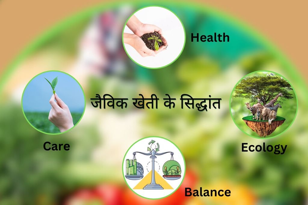 जैविक खेती के सिद्धांत