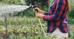 Drip irrigation ड्रिप इरिगेशन