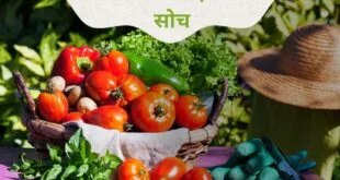 Organic Farming in Hindi | जैविक खेत | jaivik kheti | organic farming