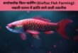 बायोफ्लॉक फिश फार्मिंग (Biofloc Fish Farming in Hindi): मछली पालन में क्रांति लाने वाली तकनीक 18 बायोफ्लॉक फिश फार्मिंग (Biofloc Fish Farming)