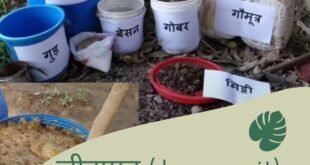 जीवामृत Jeevamrit