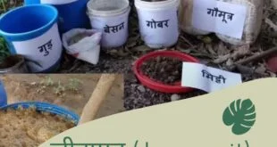 जीवामृत Jeevamrit