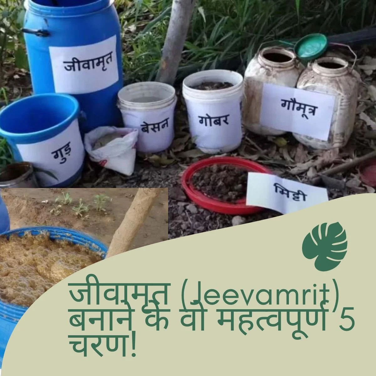 जीवामृत (Jeevamrit) बनाने के वो महत्वपूर्ण 5 चरण 1 जीवामृत Jeevamrit