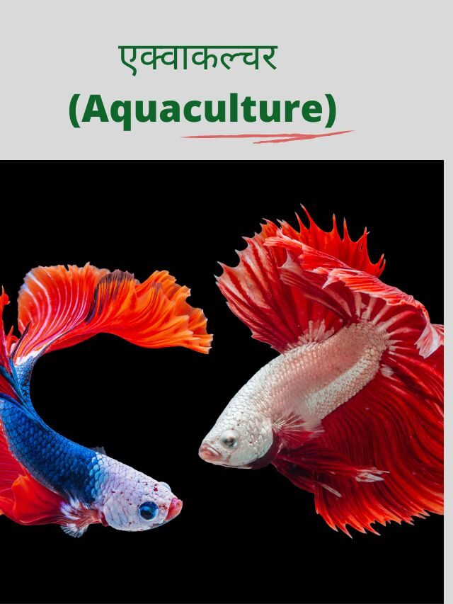 एक्वाकल्चर | Aquaculture संक्रामक रोग और बचाव
