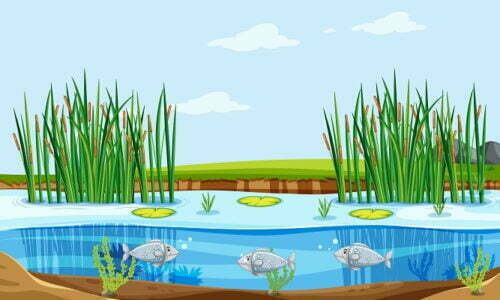 Aquaculture in Hindi