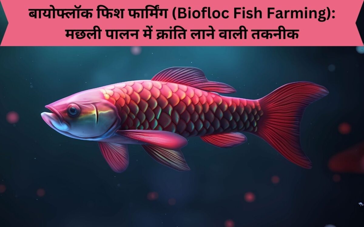 बायोफ्लॉक फिश फार्मिंग (Biofloc Fish Farming)